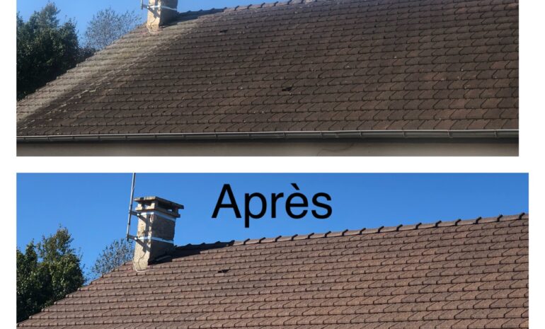 Nettoyage toiture à Caen (02 31 78 83 17)